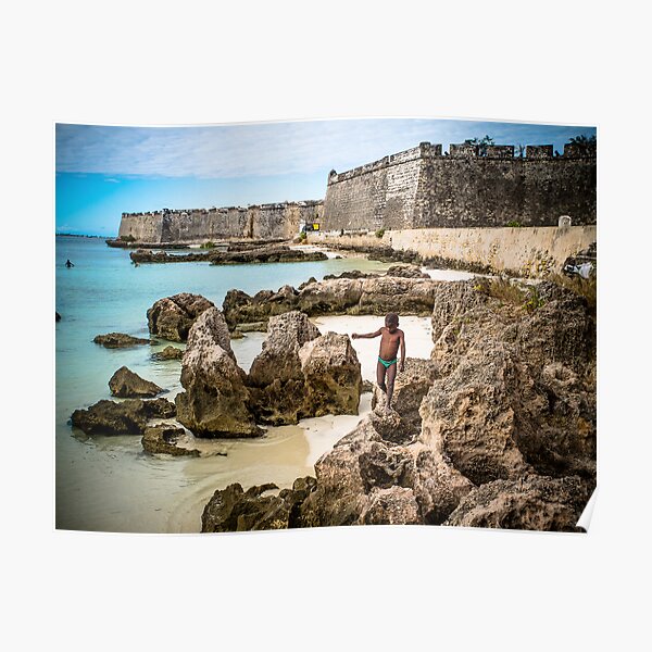 Fort of São Sebastião (IlhaMoç) Poster
