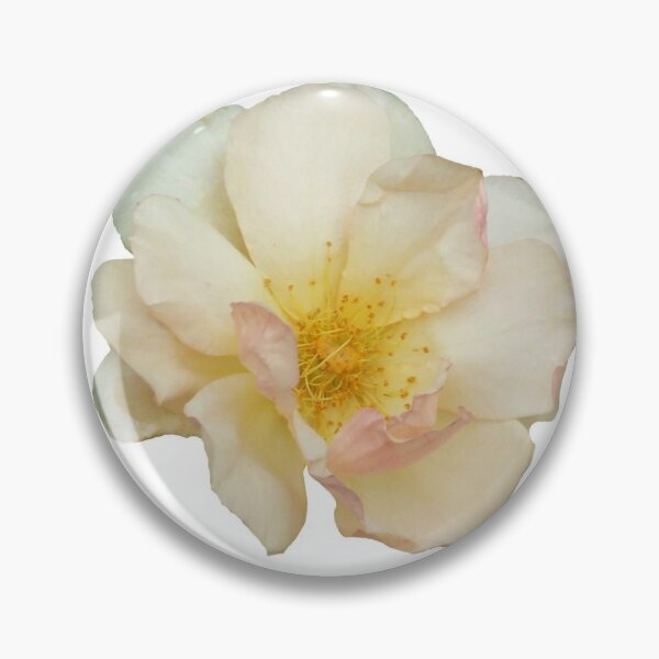 Item preview, Diseño de rosa rosa rubor designed and sold by Giftables.