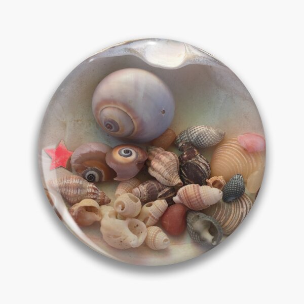 Item preview, Seashells designed and sold by Rebecca Ryan.