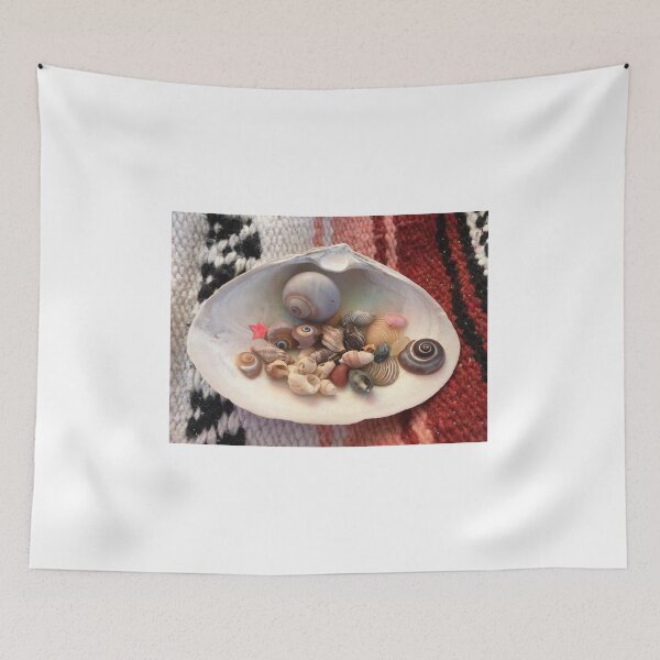 Item preview, Seashells designed and sold by Rebecca Ryan.
