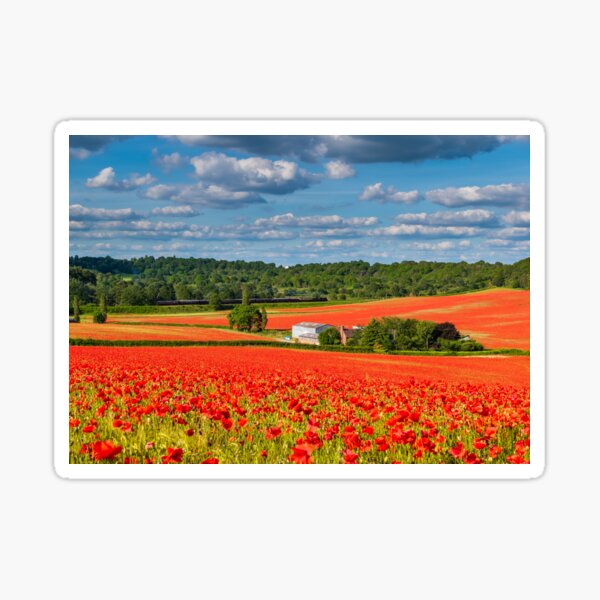 Poppy Fields Sticker