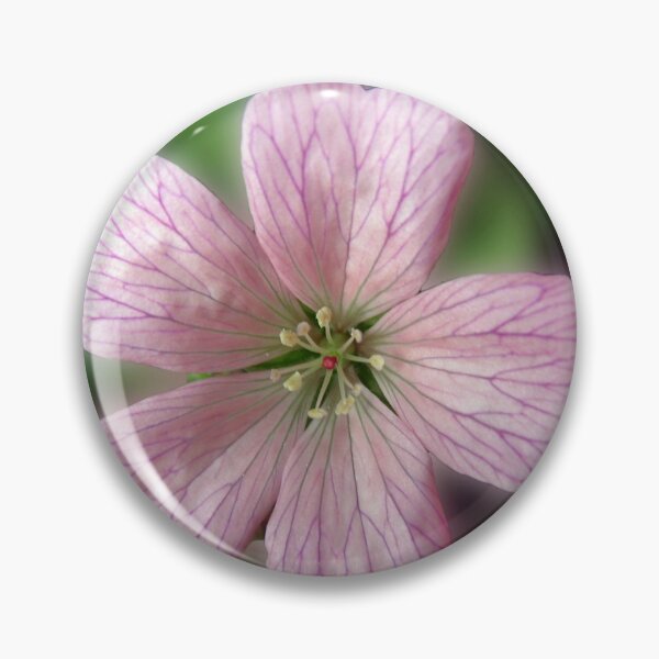 Item preview, Five Pink Petals - Tiny Flower in Mirrored Frame designed and sold by BlueMoonRose.
