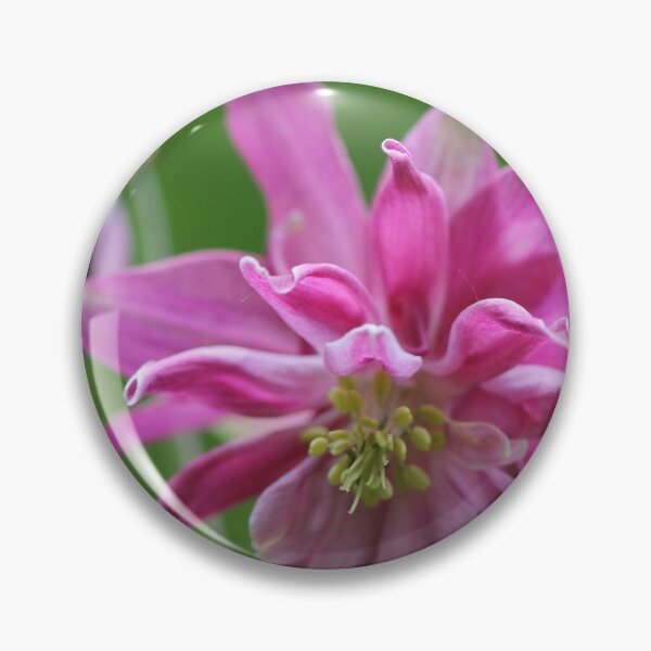 Item preview, Columbine IV designed and sold by cuprum.