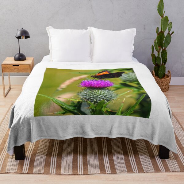 Item preview, The thistle or flower of Scotland and a butterfly at Cantick Head Lighthouse on the beautiful Orkney island of Hoy in Scotland designed and sold by Alan Mackinnon.