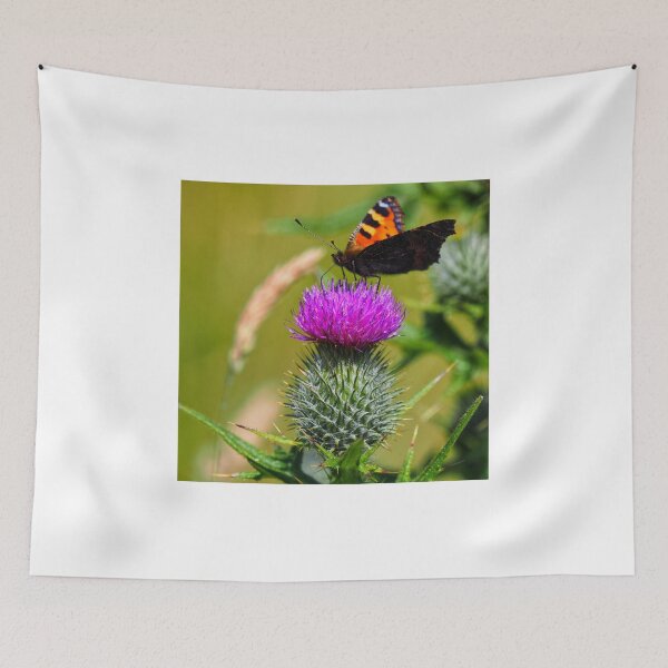 Item preview, The thistle or flower of Scotland and a butterfly at Cantick Head Lighthouse on the beautiful Orkney island of Hoy in Scotland designed and sold by Alan Mackinnon.