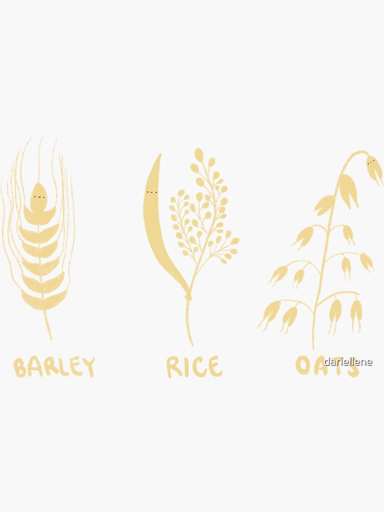 "Whole Grains" Sticker by dariellene Redbubble