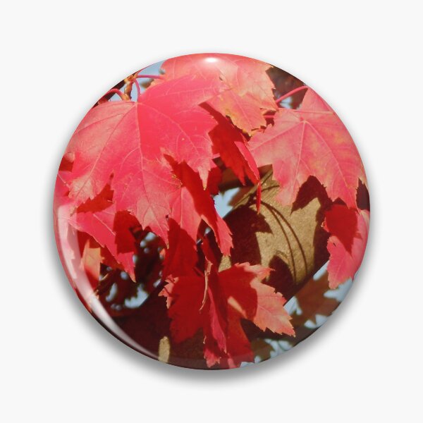 Item preview, Autumn in Washington.. designed and sold by RichImage.