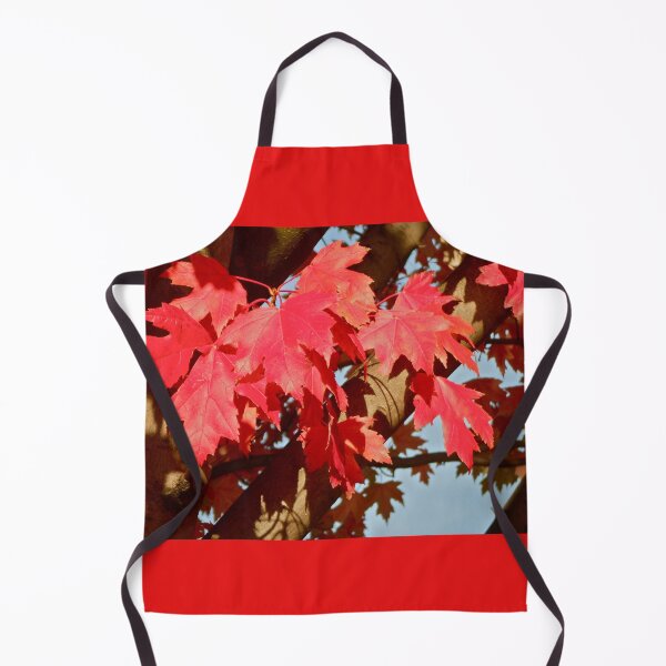 Item preview, Autumn in Washington.. designed and sold by RichImage.