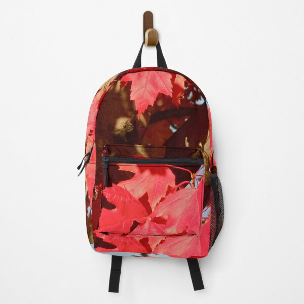 Item preview, Autumn in Washington.. designed and sold by RichImage.
