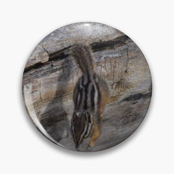 Item preview, Chipmunks playing tag. designed and sold by CanadianWild418.