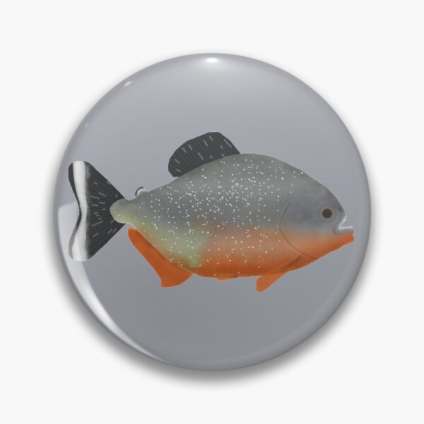 Item preview, Red Belly Piranha designed and sold by fishfolkart.
