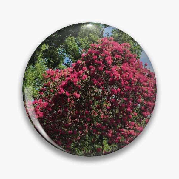 Item preview, England -Bushy Park- Spring Flowers designed and sold by joabaj.