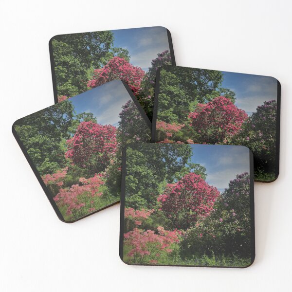 Item preview, England -Bushy Park- Spring Flowers designed and sold by joabaj.