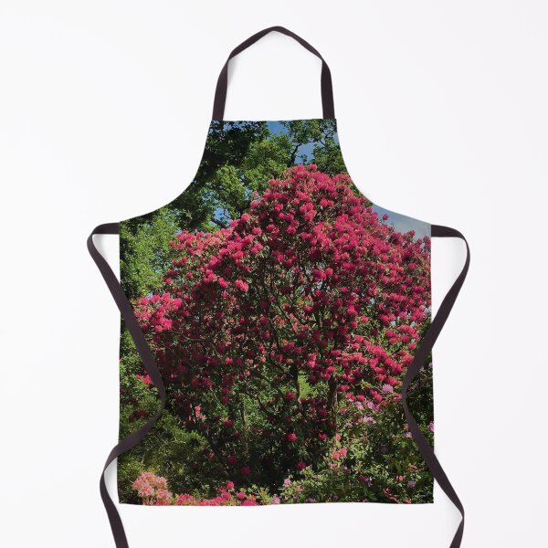 Item preview, England -Bushy Park- Spring Flowers designed and sold by joabaj.