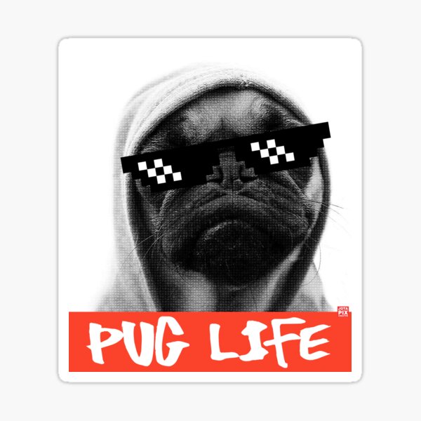 Pug Life Stickers Redbubble - pug life roblox