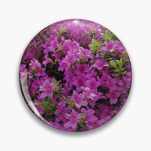 Item preview, England -Bushy Park- Spring Flowers designed and sold by joabaj.