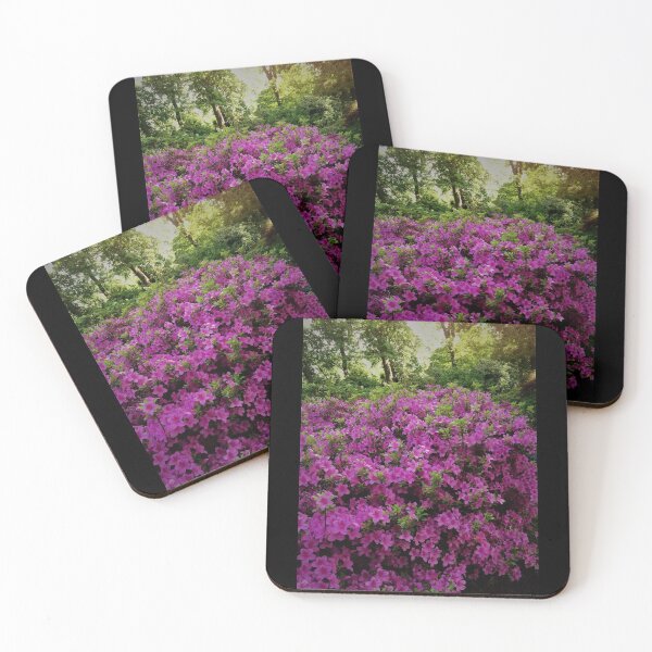 Item preview, England -Bushy Park- Spring Flowers designed and sold by joabaj.