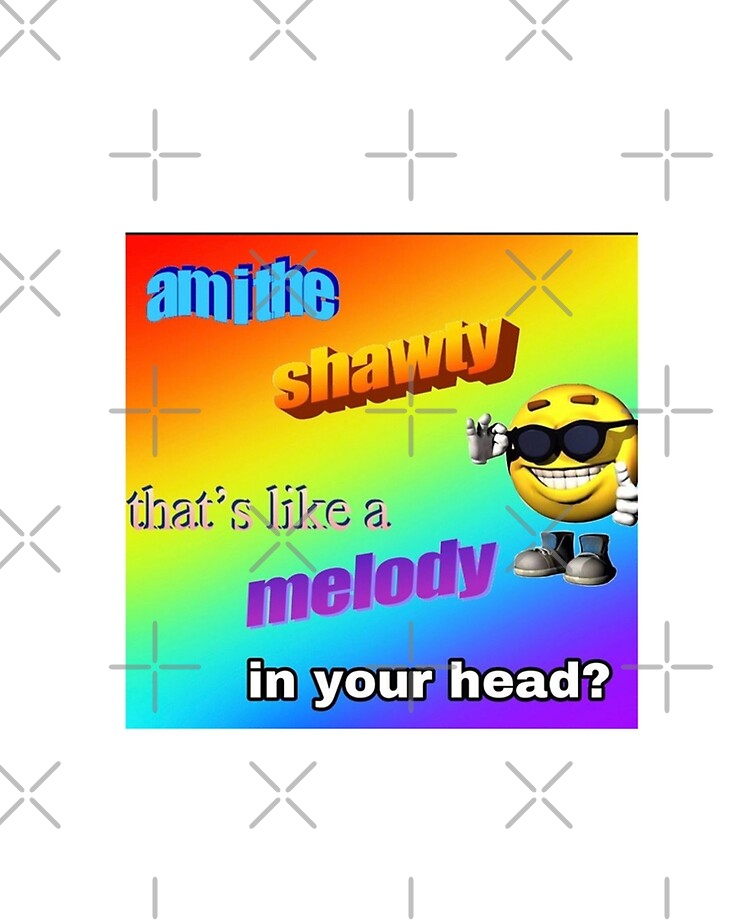 Shawty's like a melody in my head : r/memes