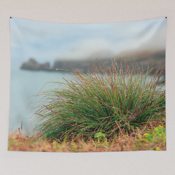 Item preview, Festuca petraea designed and sold by Gaspar Avila.