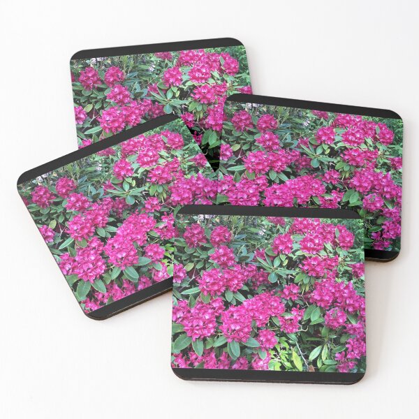 Item preview, England -Bushy Park- Spring Flowers designed and sold by joabaj.
