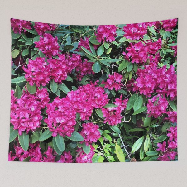 Item preview, England -Bushy Park- Spring Flowers designed and sold by joabaj.