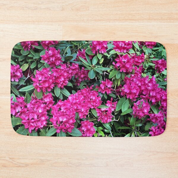Item preview, England -Bushy Park- Spring Flowers designed and sold by joabaj.