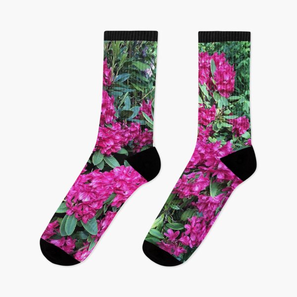 Item preview, England -Bushy Park- Spring Flowers designed and sold by joabaj.