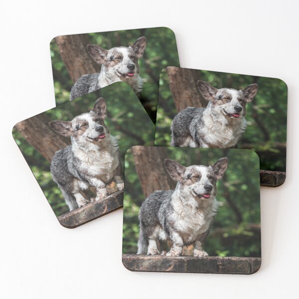 Item preview, Beautiful corgi dog is swimming in a mountain river. Sunny weather. Summer. designed and sold by Alexander Sorokopud.