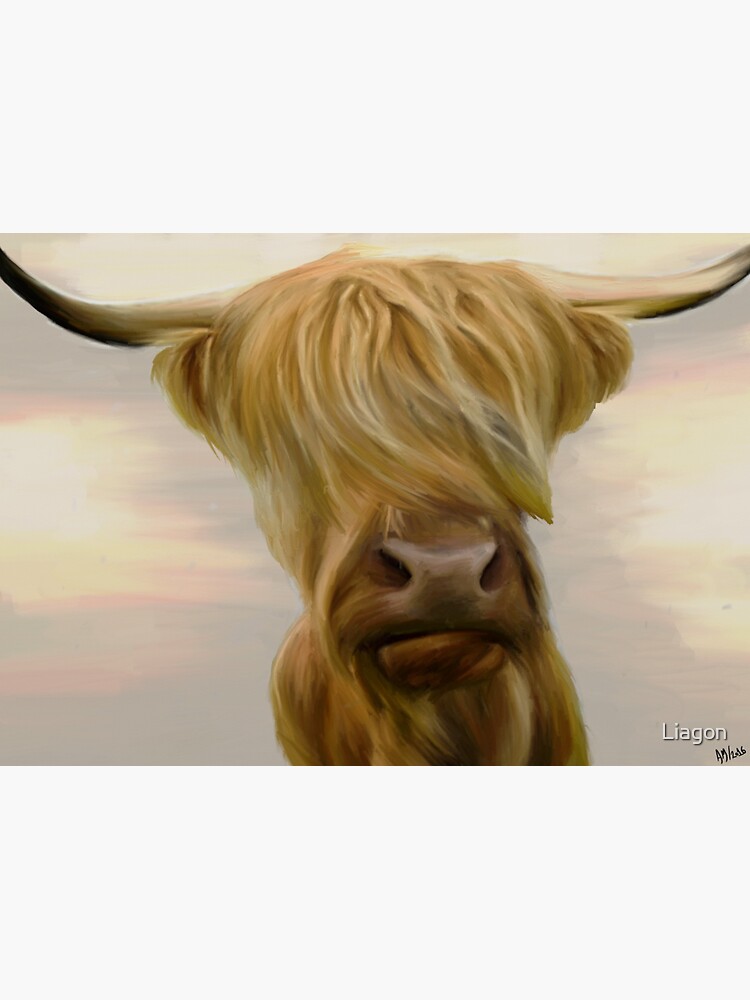 "Stern Sam The Highland Cow" Sticker by Liagon Redbubble