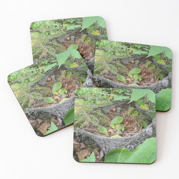 Item preview, Forest Basket designed and sold by PeaceofNShore.