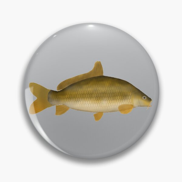 Item preview, Common Carp designed and sold by fishfolkart.