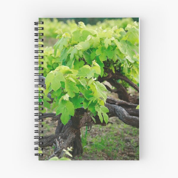 Artikelvorschau, Grape vines entworfen und verkauft von Gaspar Avila.