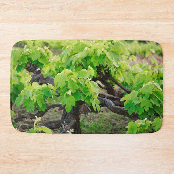 Item preview, Grape vines designed and sold by Gaspar Avila.