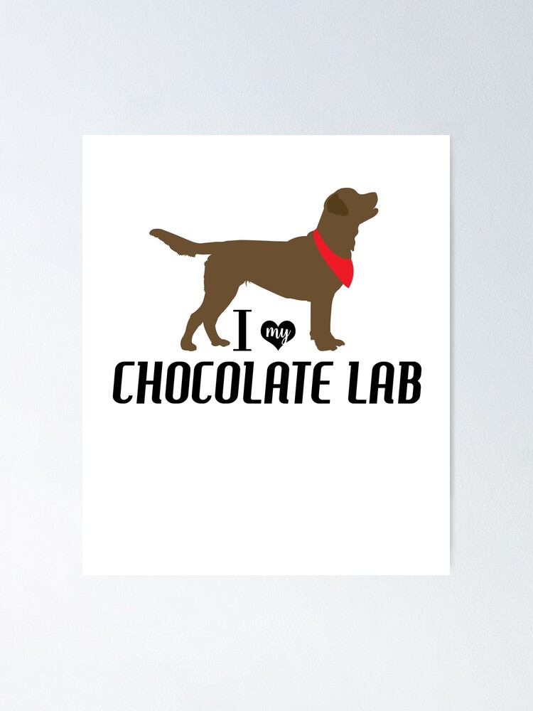 I love my chocolate lab best sale