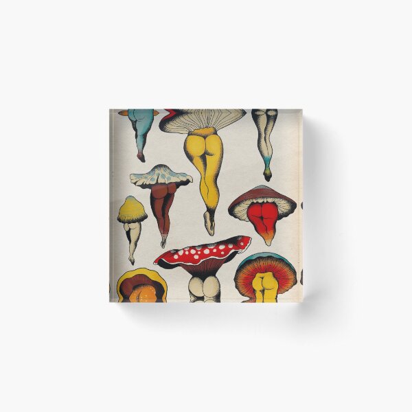 Sexy mushrooms tattoo flash Acrylic Block