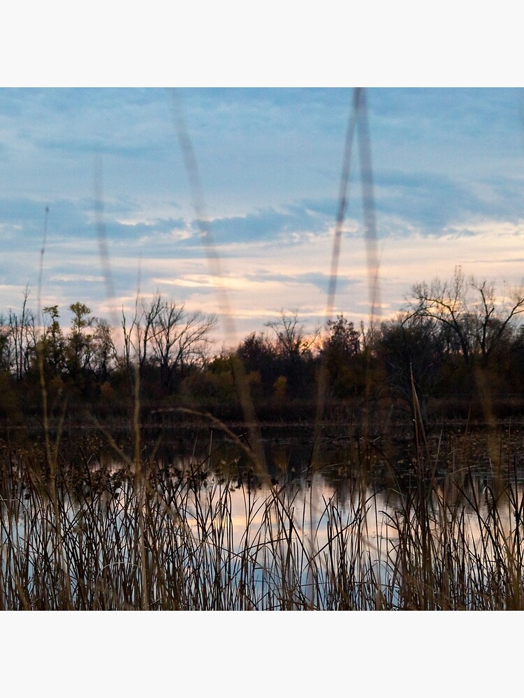 Pond Sunset by mark-bugs-org