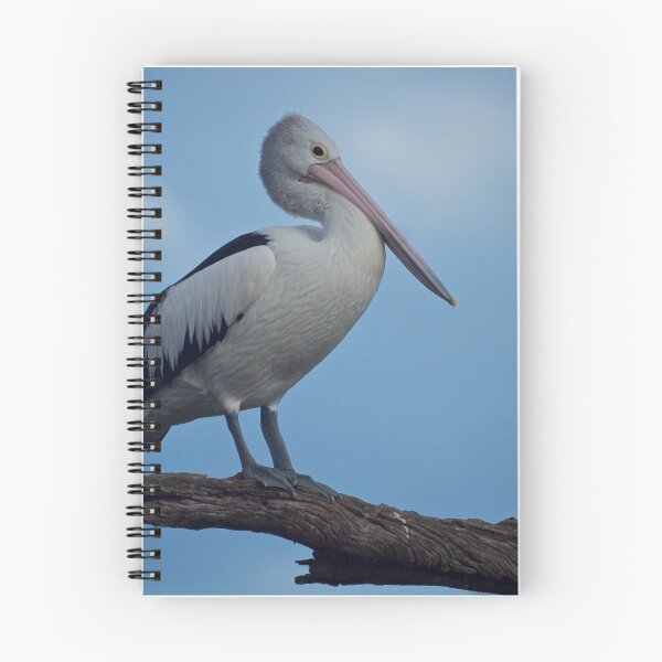Item preview, The Pelican designed and sold by D-GaP.