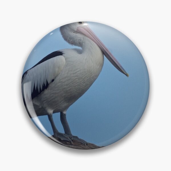 Item preview, The Pelican designed and sold by D-GaP.