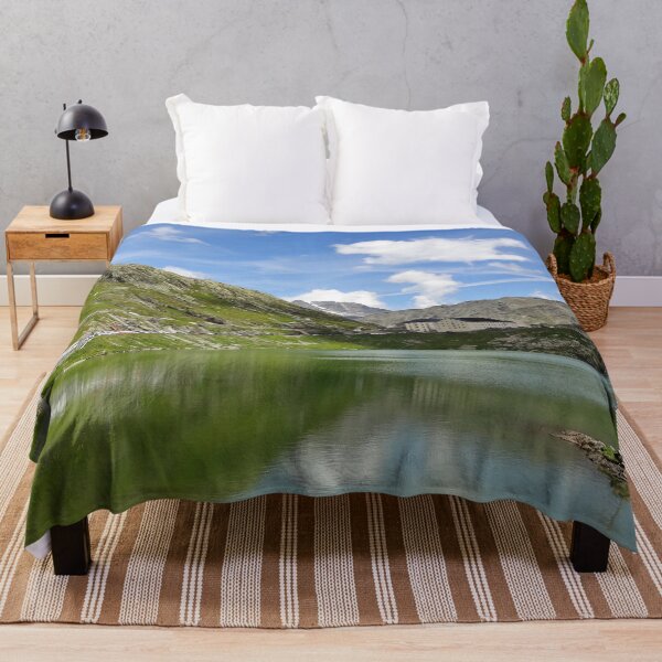 Item preview, Saint Bernard pass monastery designed and sold by stretchtees.