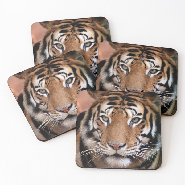Item preview, Cool Funny Tiger Face Mask designed and sold by coffeetea2020.
