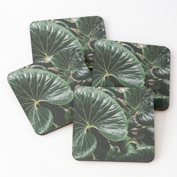 Item preview, Tropical leaf designed and sold by kmsphotography.