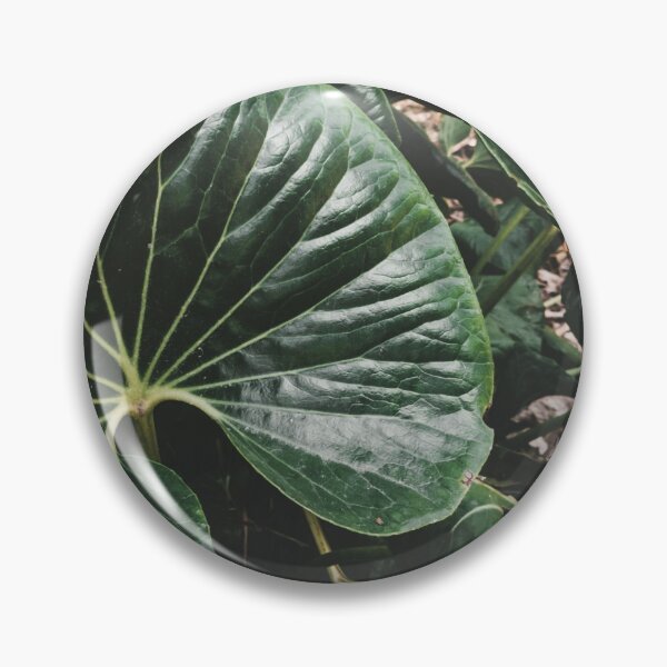 Item preview, Tropical leaf designed and sold by kmsphotography.