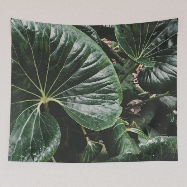 Item preview, Tropical leaf designed and sold by kmsphotography.