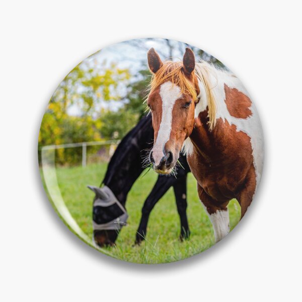 Item preview, Two horses grazing designed and sold by Francesko221.