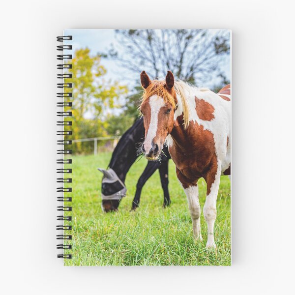Item preview, Two horses grazing designed and sold by Francesko221.