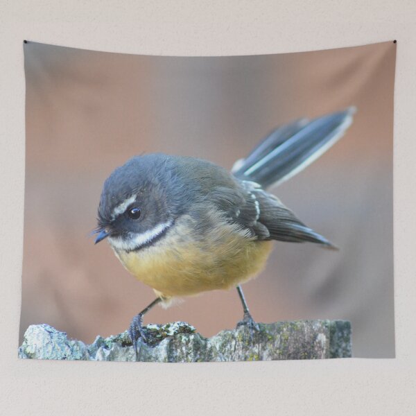 Item preview, Fantail on the fence-New Zealand Birds designed and sold by lizdomett.
