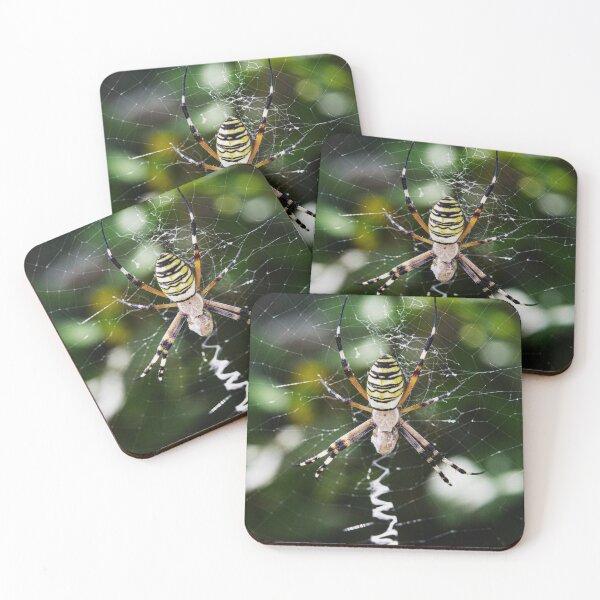 Item preview, Wasp spider designed and sold by Francesko221.