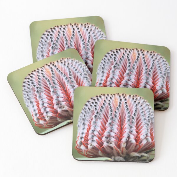 Item preview, Scarlet Banksia in flower, South Australia designed and sold by NanaRusty.