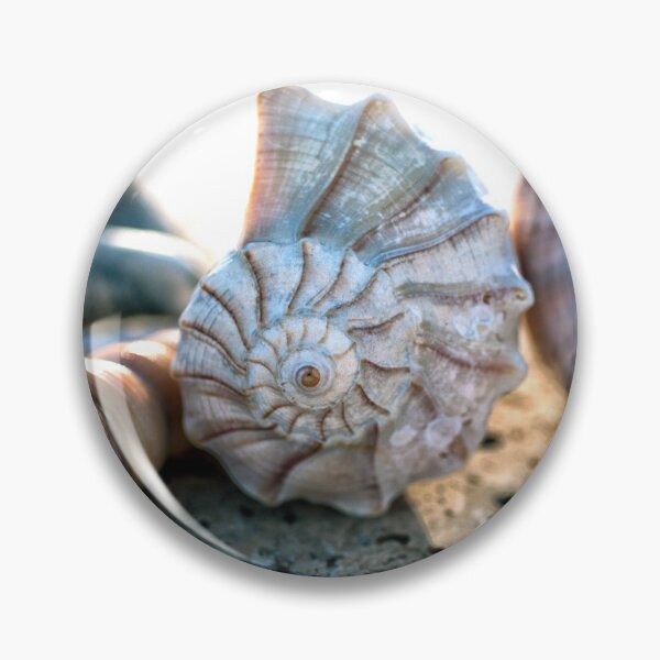 Item preview, Gorgeous Seashells designed and sold by Elena Ray.