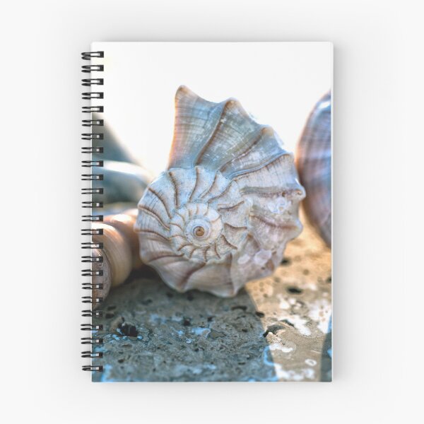 Item preview, Gorgeous Seashells designed and sold by Elena Ray.